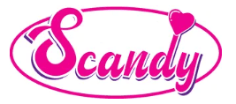 PT Scandy logo
