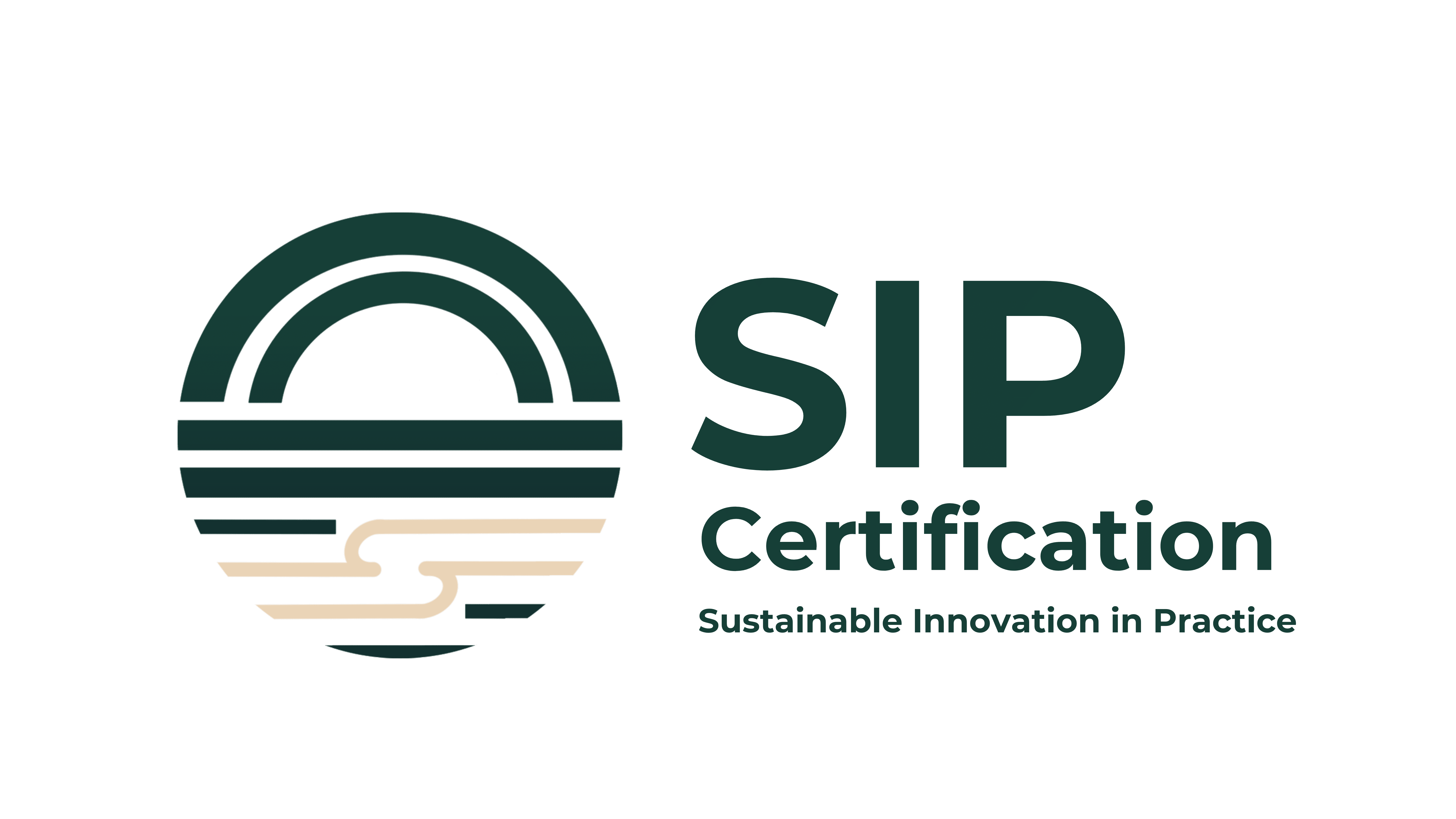 Sustainable Innovation in Practice logo