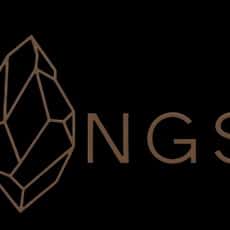 PT Nusa Geosource Solution logo