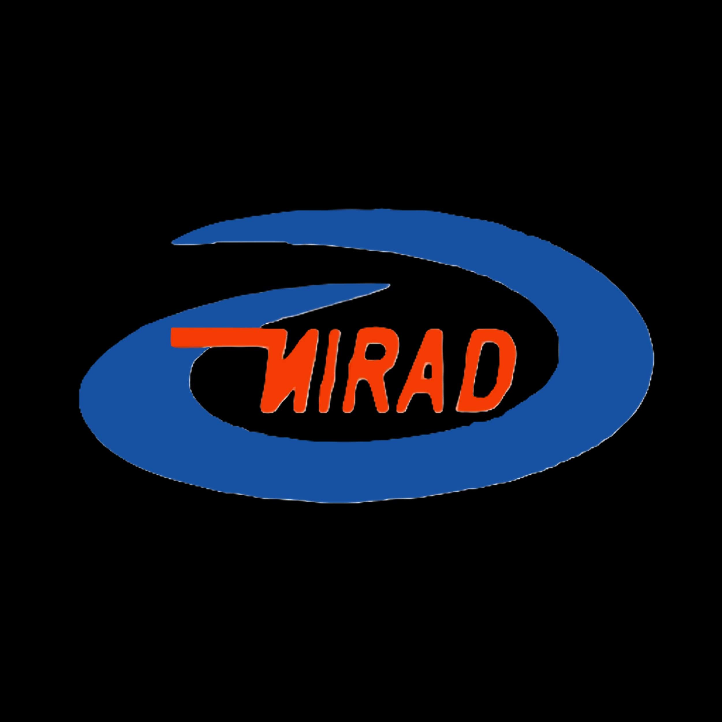Emirad International Logistics logo