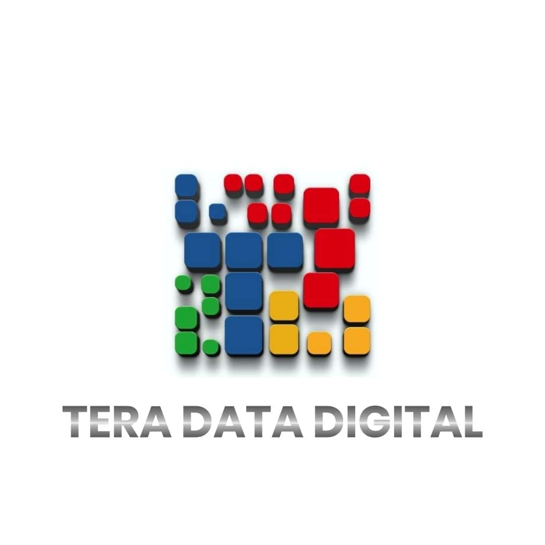 Logo PT Tera Data Digital