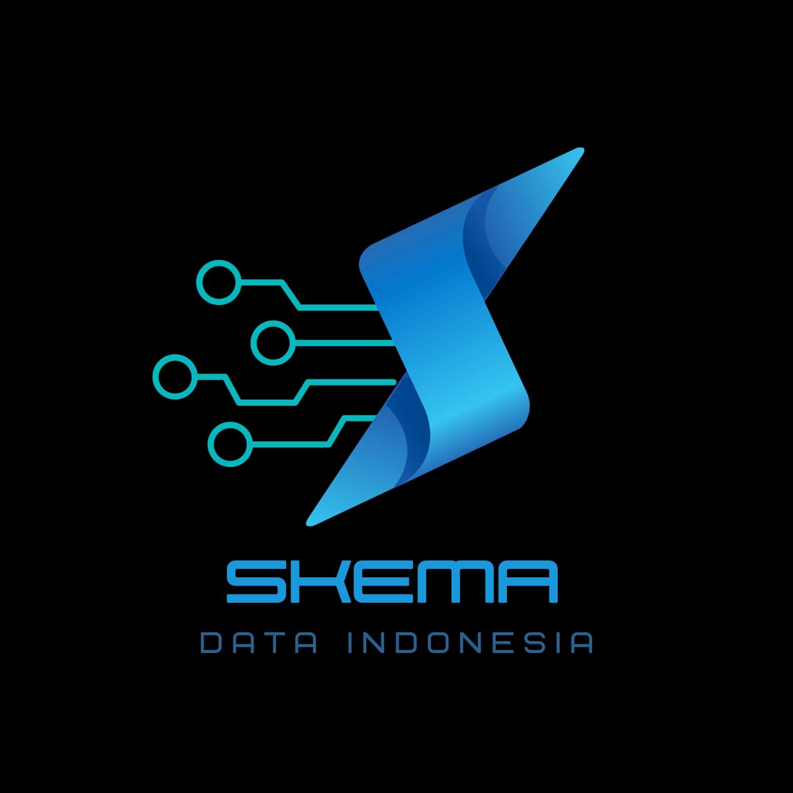 Logo PT Skema Data Indonesia