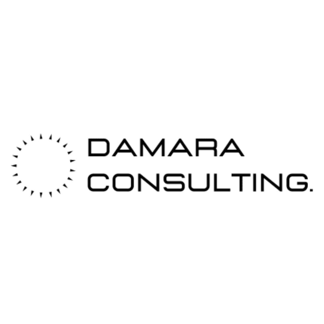 PT Damara Stratejik Indonesia logo