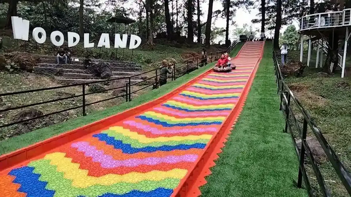 4. Woodland Kuningan.webp