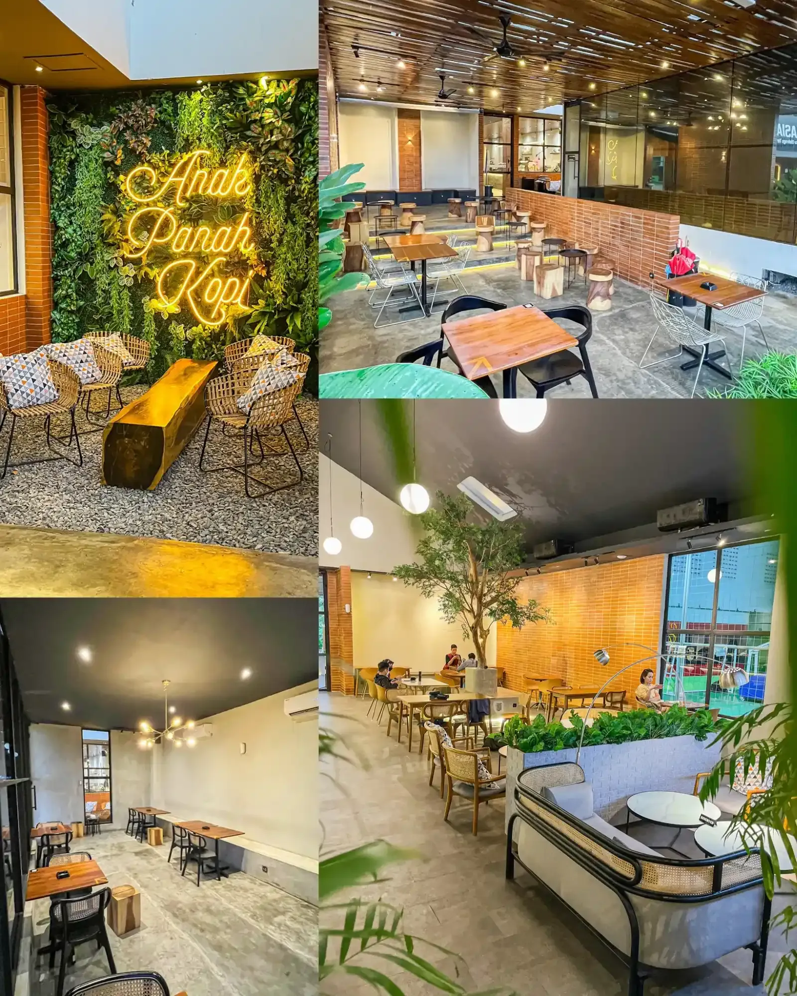 Anak Panah Kopi (1)_11zon.webp