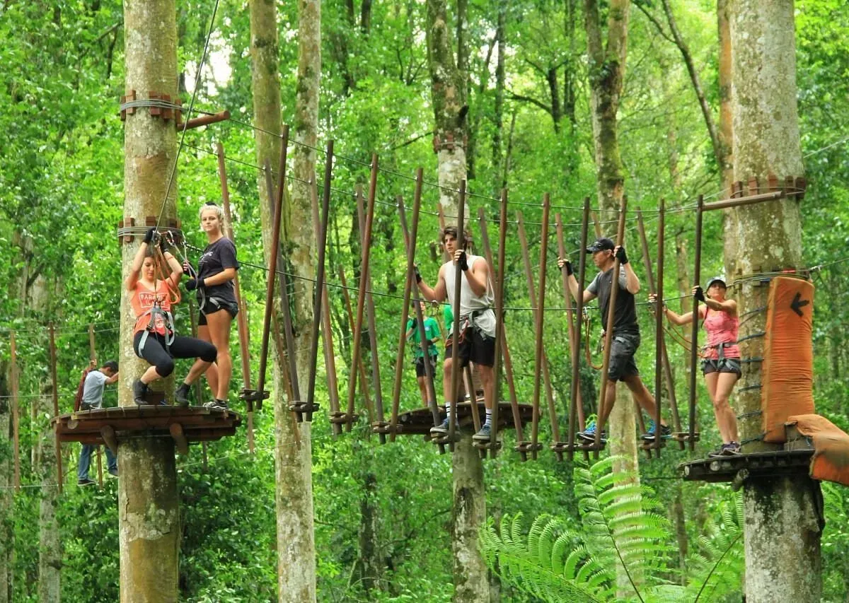 Bali Treetop Adventure Park.webp