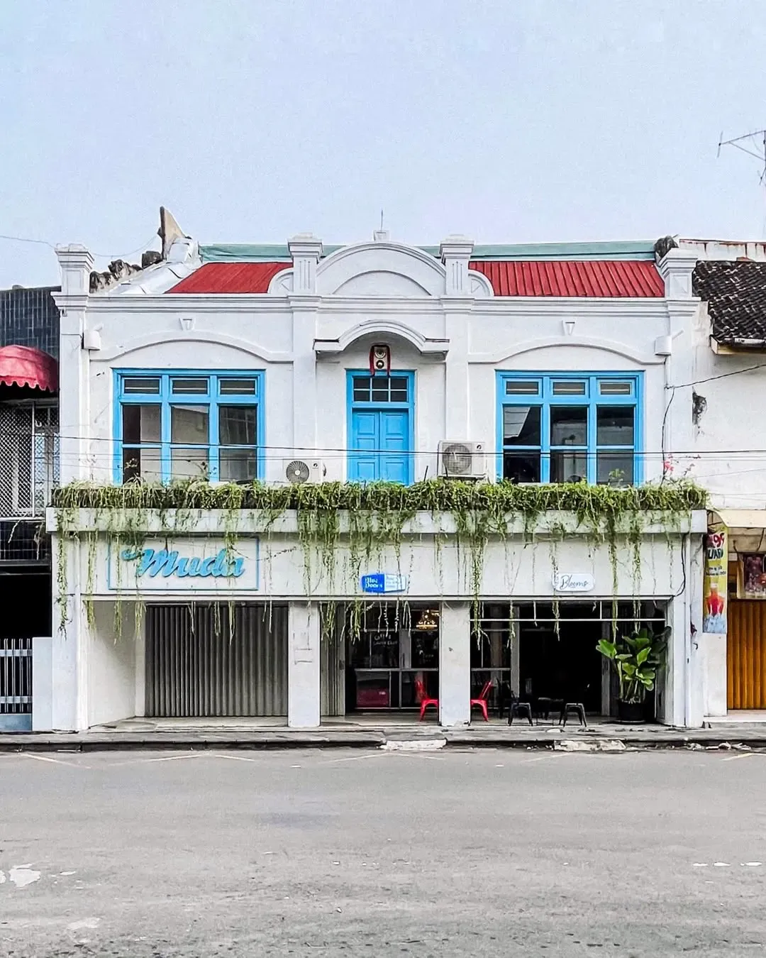 Blue Doors Solo.webp