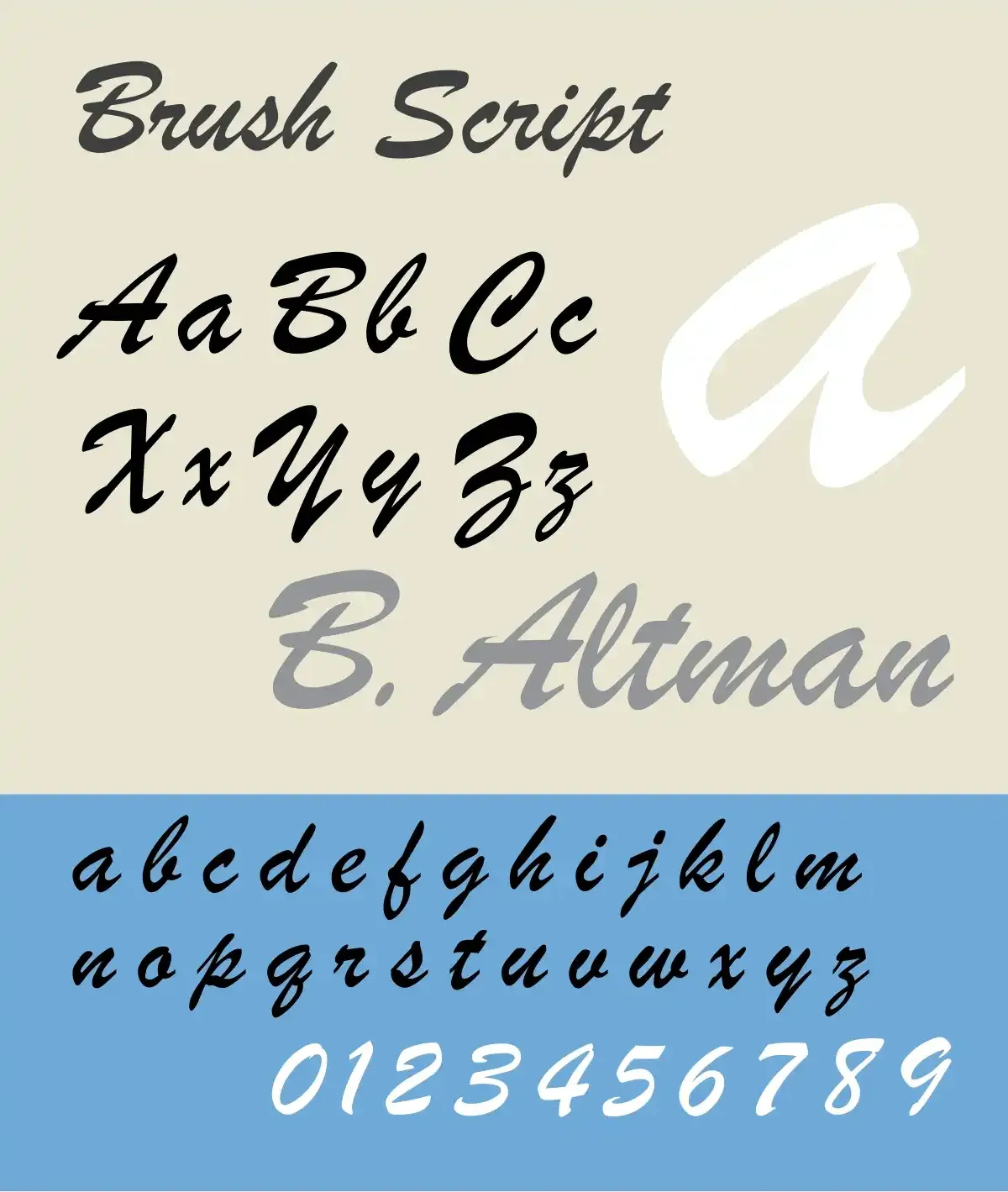 Brush Script.webp