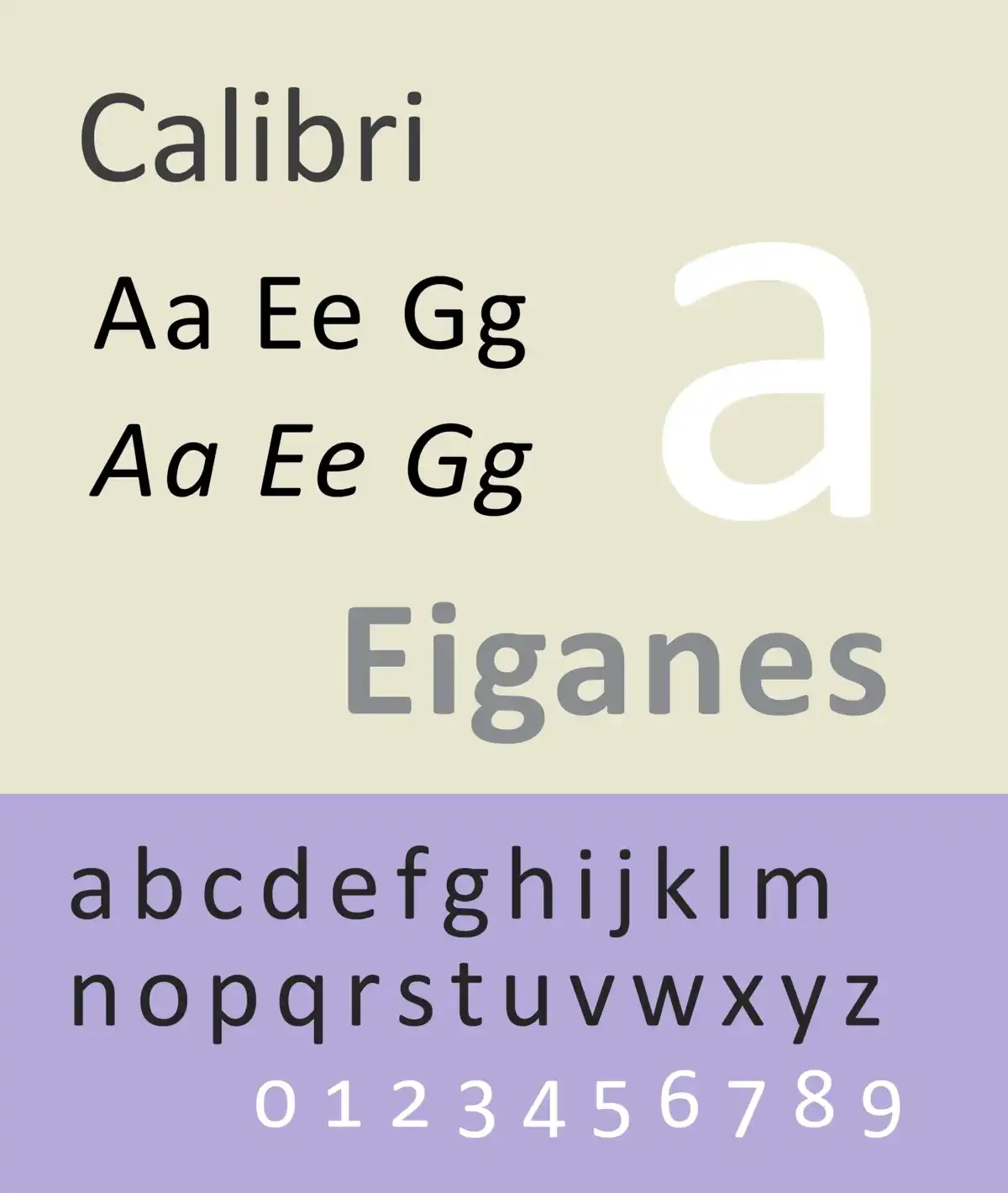 Calibri.webp