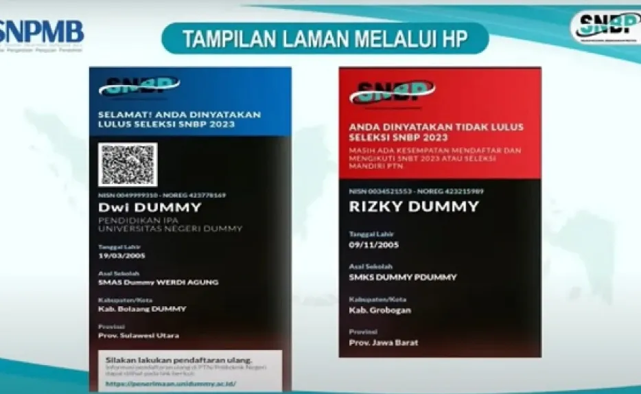 Cara Membaca Hasil SNBP.webp