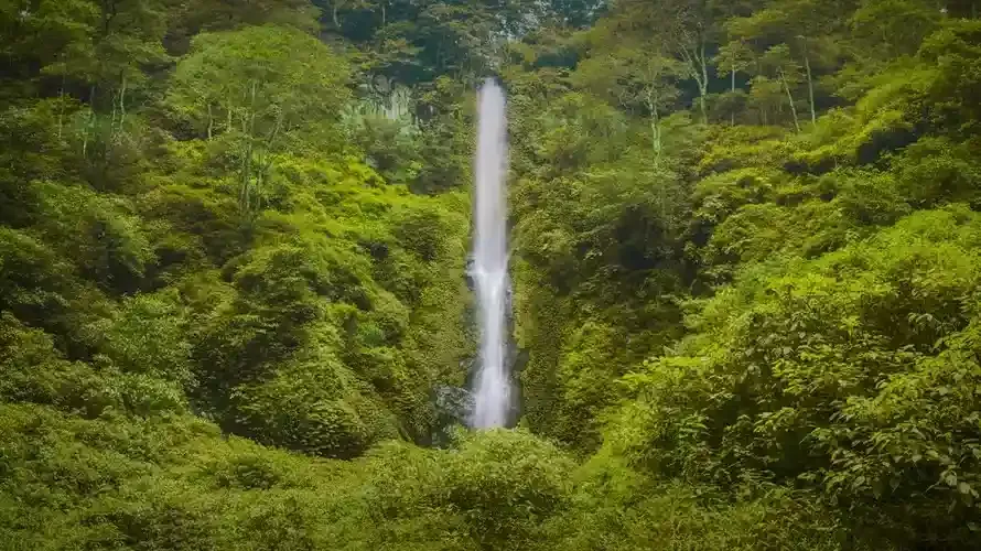 Coban Rais.webp