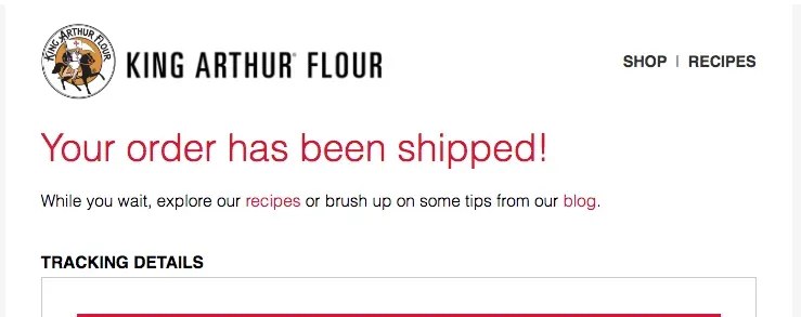 Contoh Email Header.webp