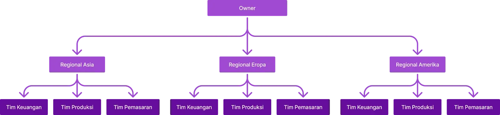 Contoh Struktur Organisasi Regional.webp