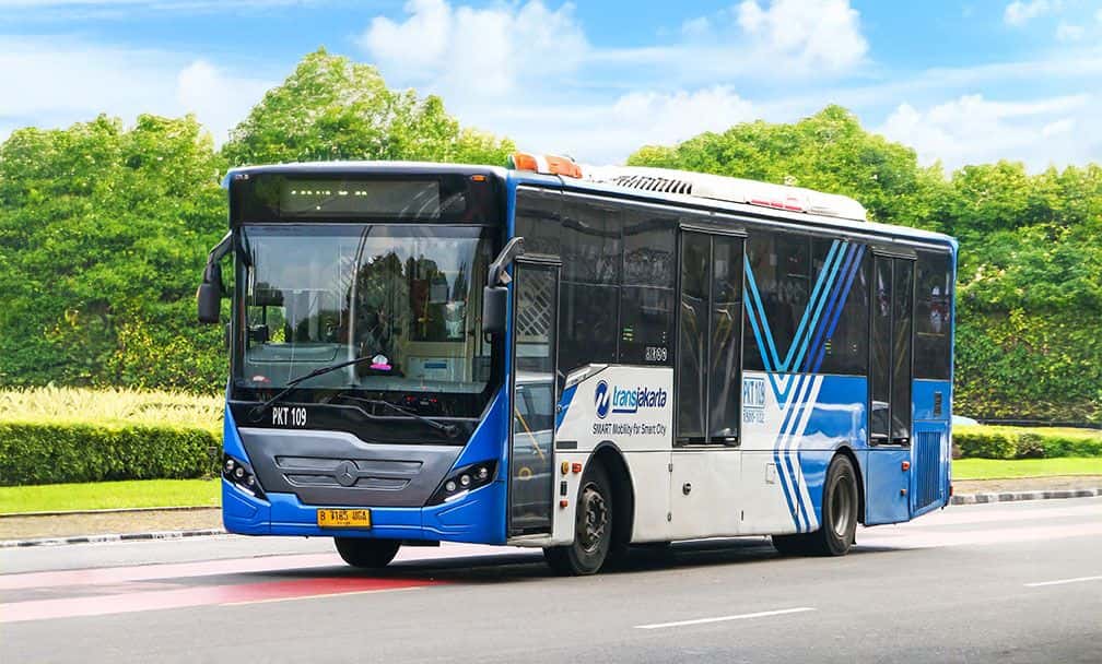 Rute TJ 8