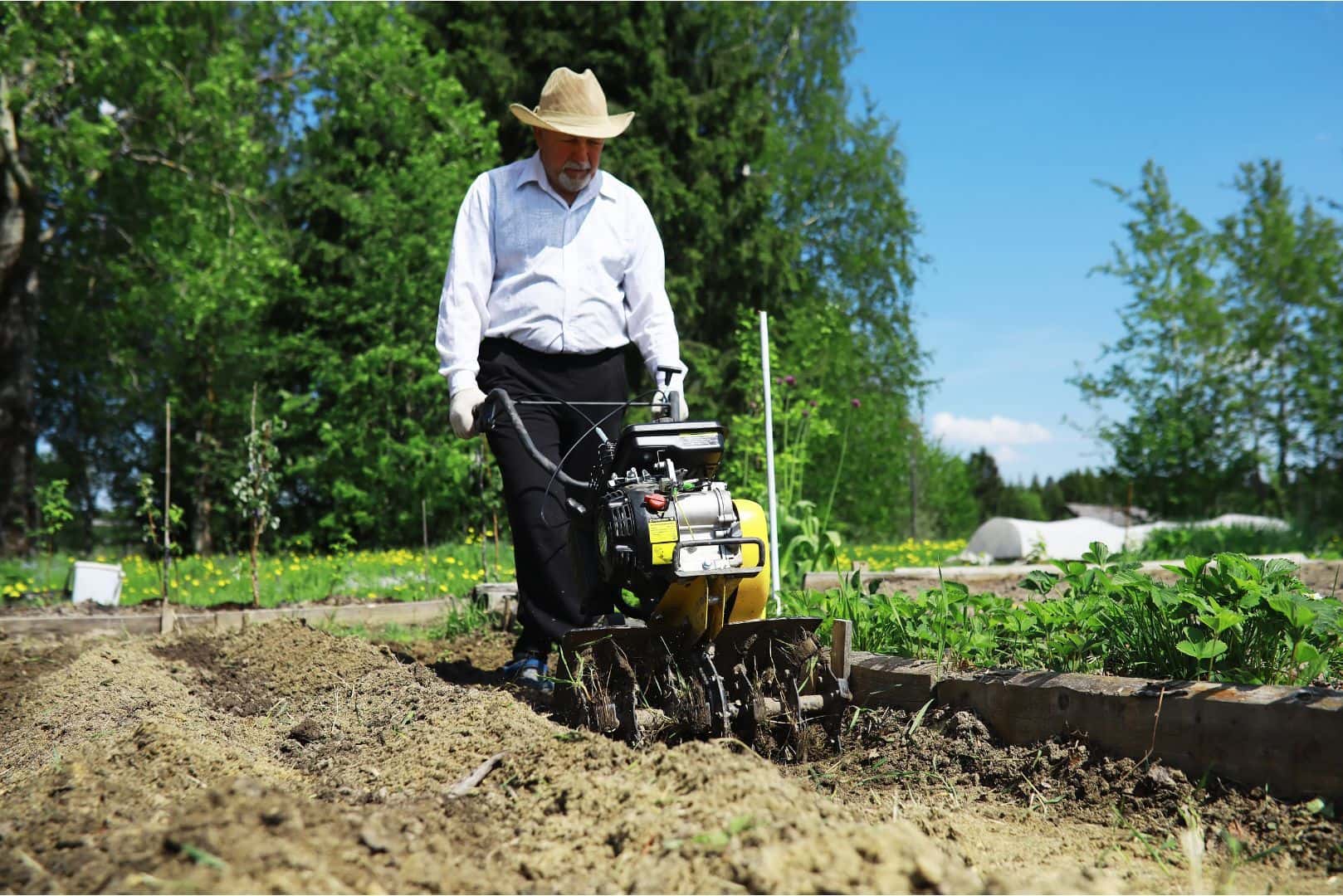 Cultivator