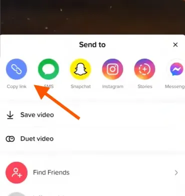 Download Video via Website (1).webp
