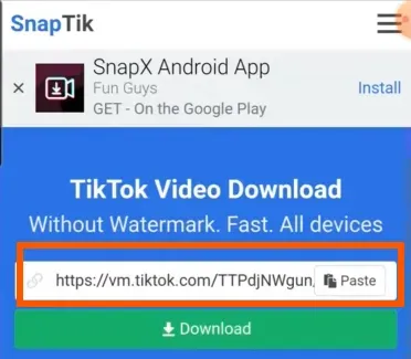 Download Video via Website (2).webp