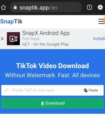 Download Video via Website (4).webp