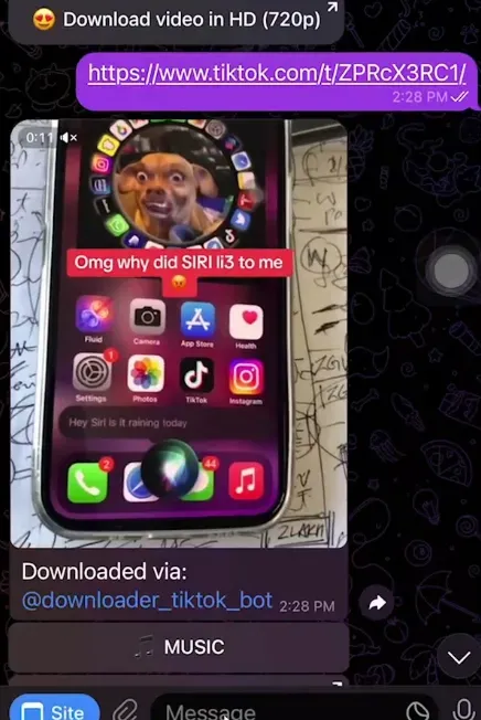 Download via Telegram Bot (2).webp