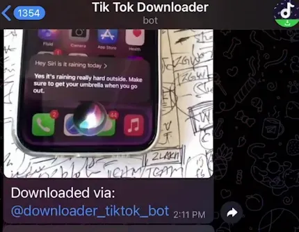 Download via Telegram Bot (4).webp