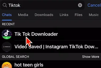 Download via Telegram Bot (6).webp