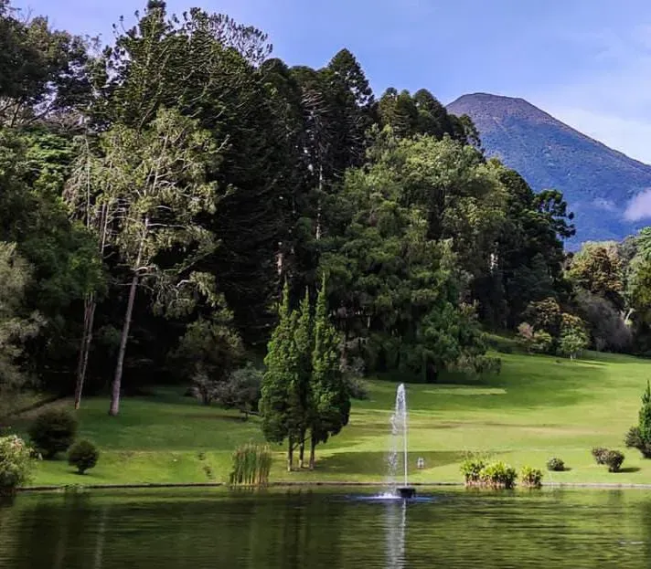 Kebun Raya Cibodas.webp