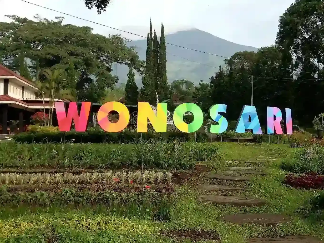 Kebun Teh Wonosari.webp