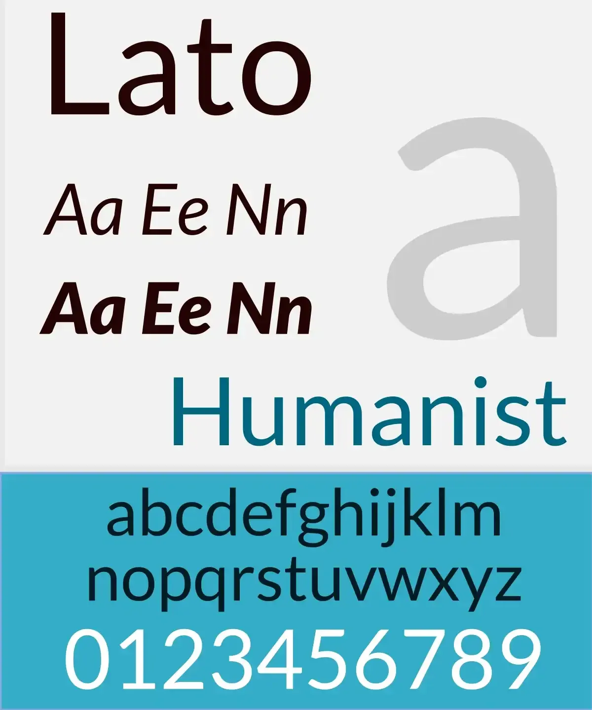 Lato.webp