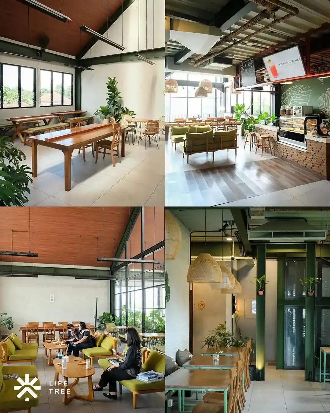 Life Tree Eatery and Workspace_11zon.webp