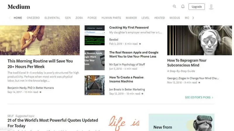 Medium.webp