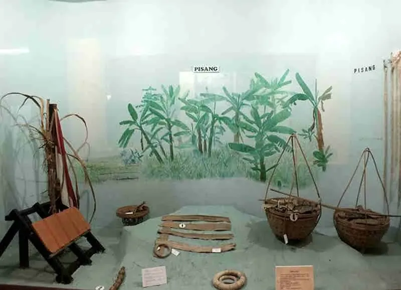 Museum Etnobotani.webp