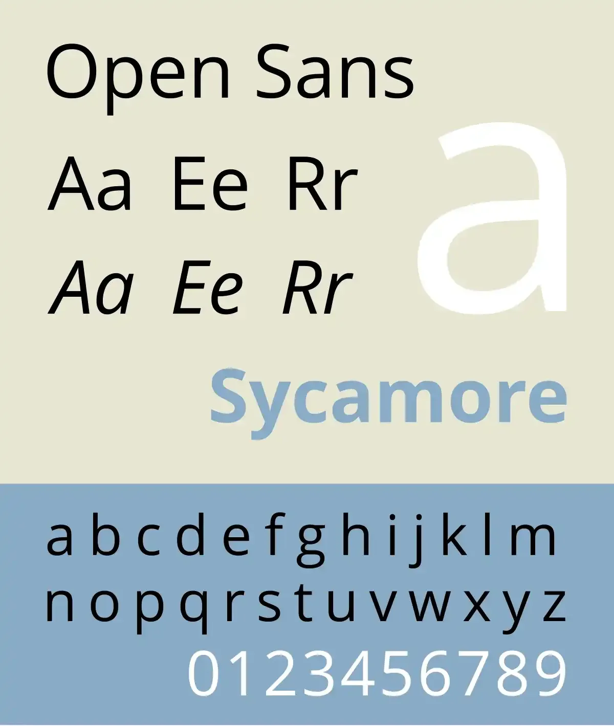 Open Sans.webp