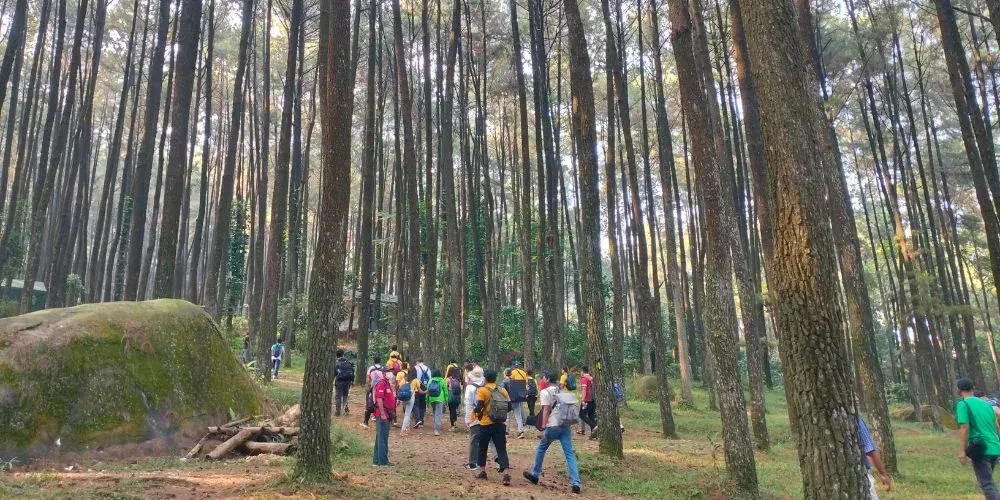 Pancar Mountain Natural Park (Gunung Pancar).webp