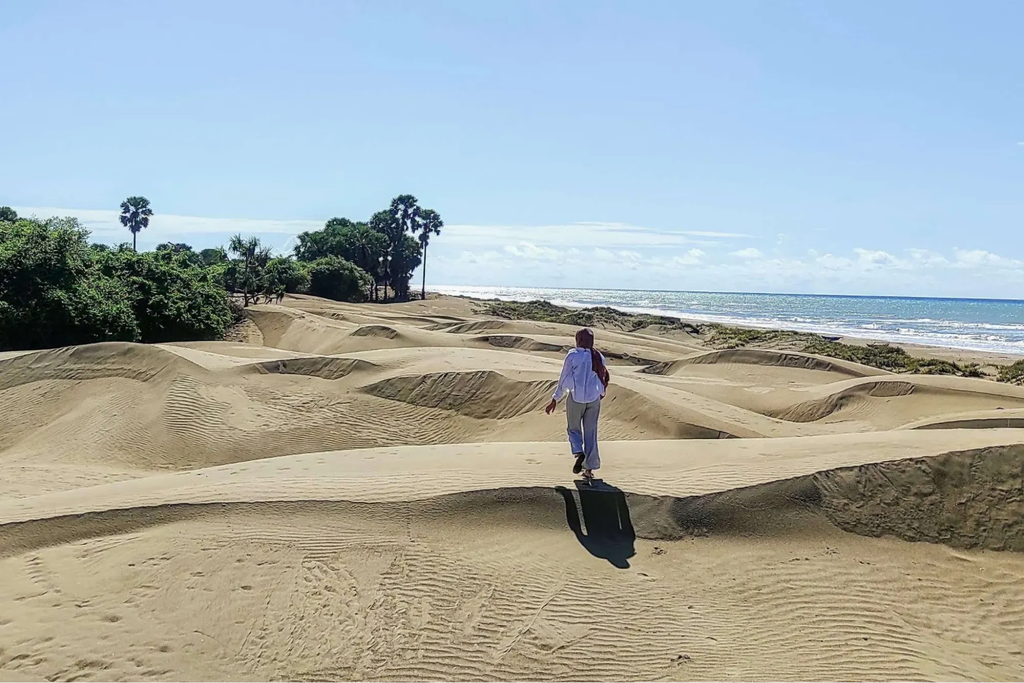 Pantai Oetune.webp