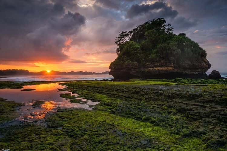 Pantai Parang Dowo - Travel Kompas.jpg