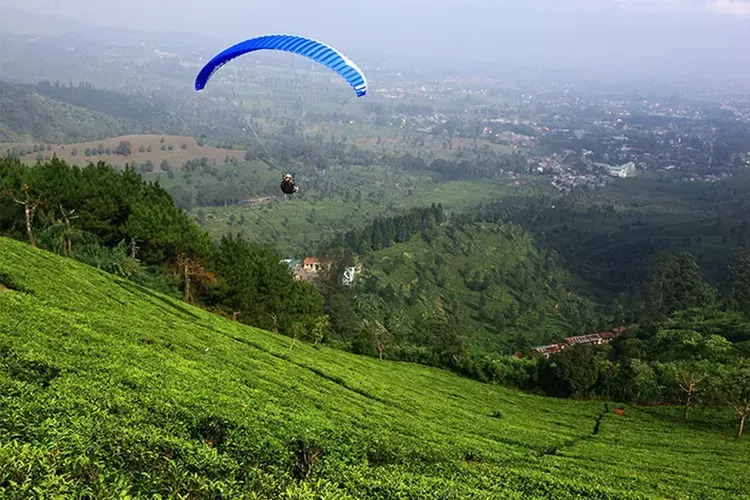 Paralayang Bukit Gantole Puncak.webp