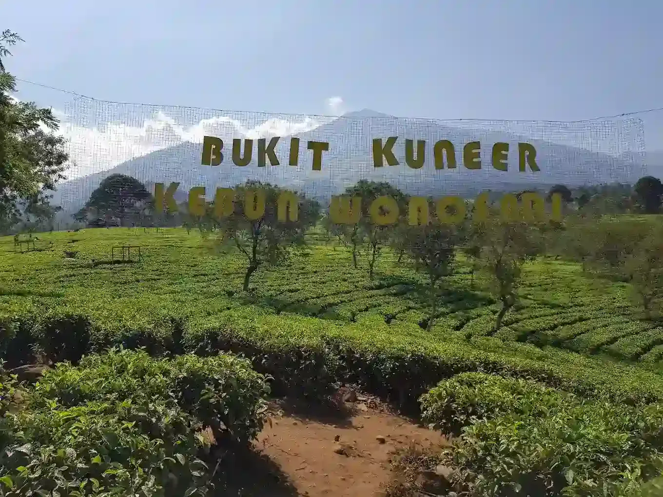 Paralayang Bukit Kuneer.webp