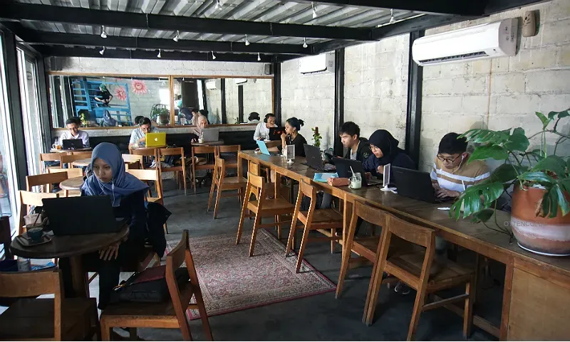 Peacockoffie Palagan.webp