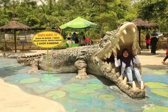 Predator Fun Park.webp