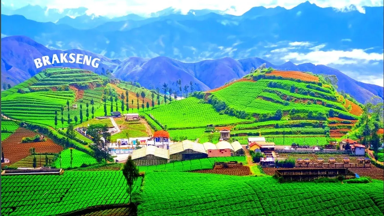Puncak Brakseng.webp
