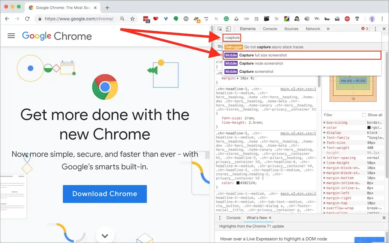 Screenshot Full Page Website.webp
