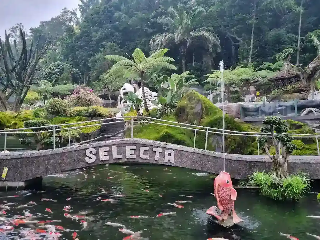 Selecta.webp