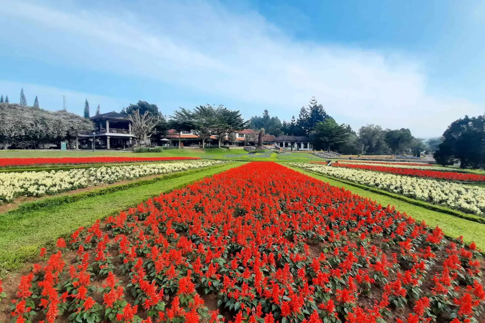 Taman Bunga Nusantara.webp