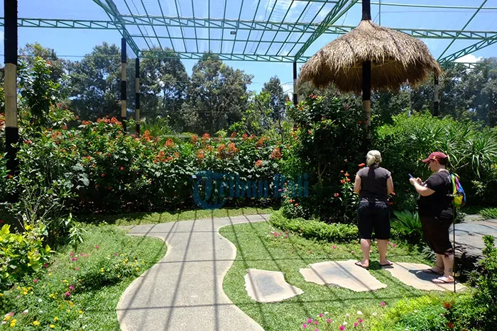 Taman Kupu-Kupu Kemenuh.webp