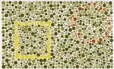 Tes Membedakan Warna dan Bentuk.webp