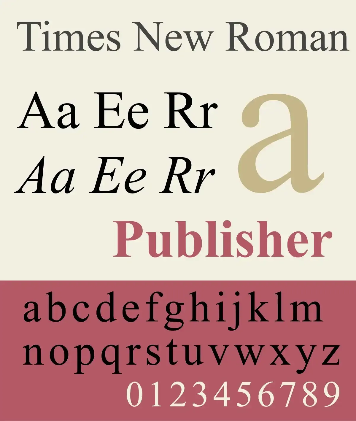 Times New Roman.webp