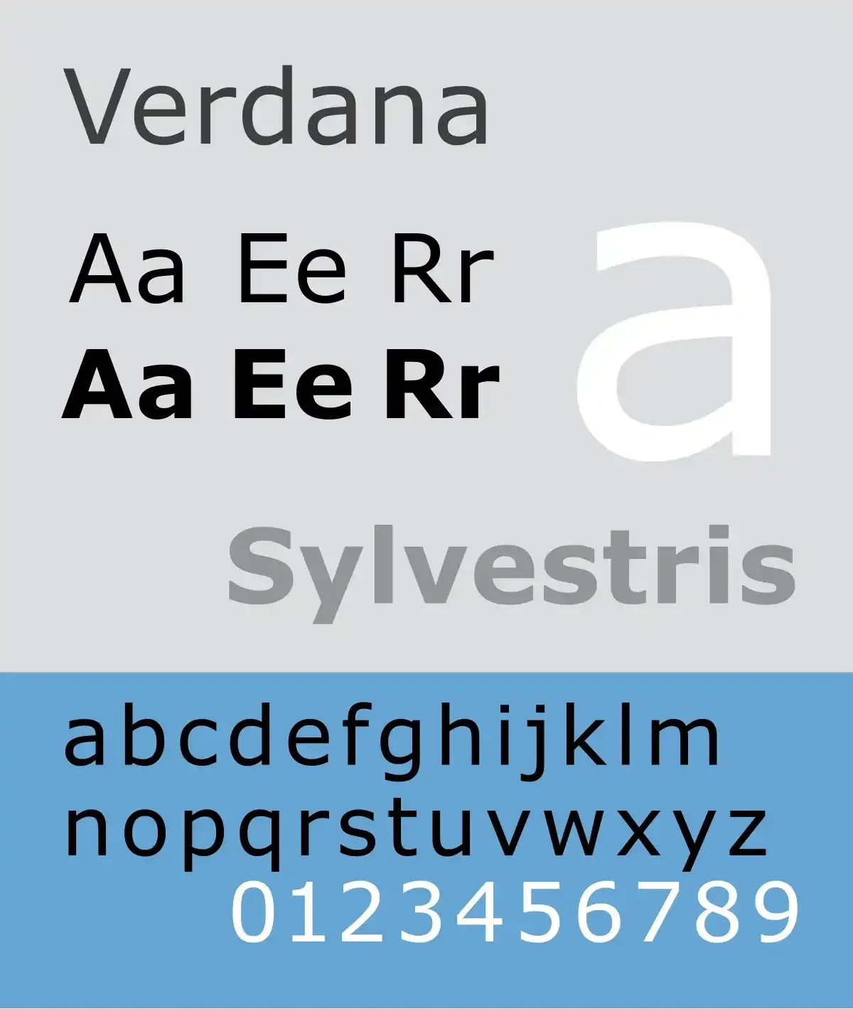 Verdana.webp