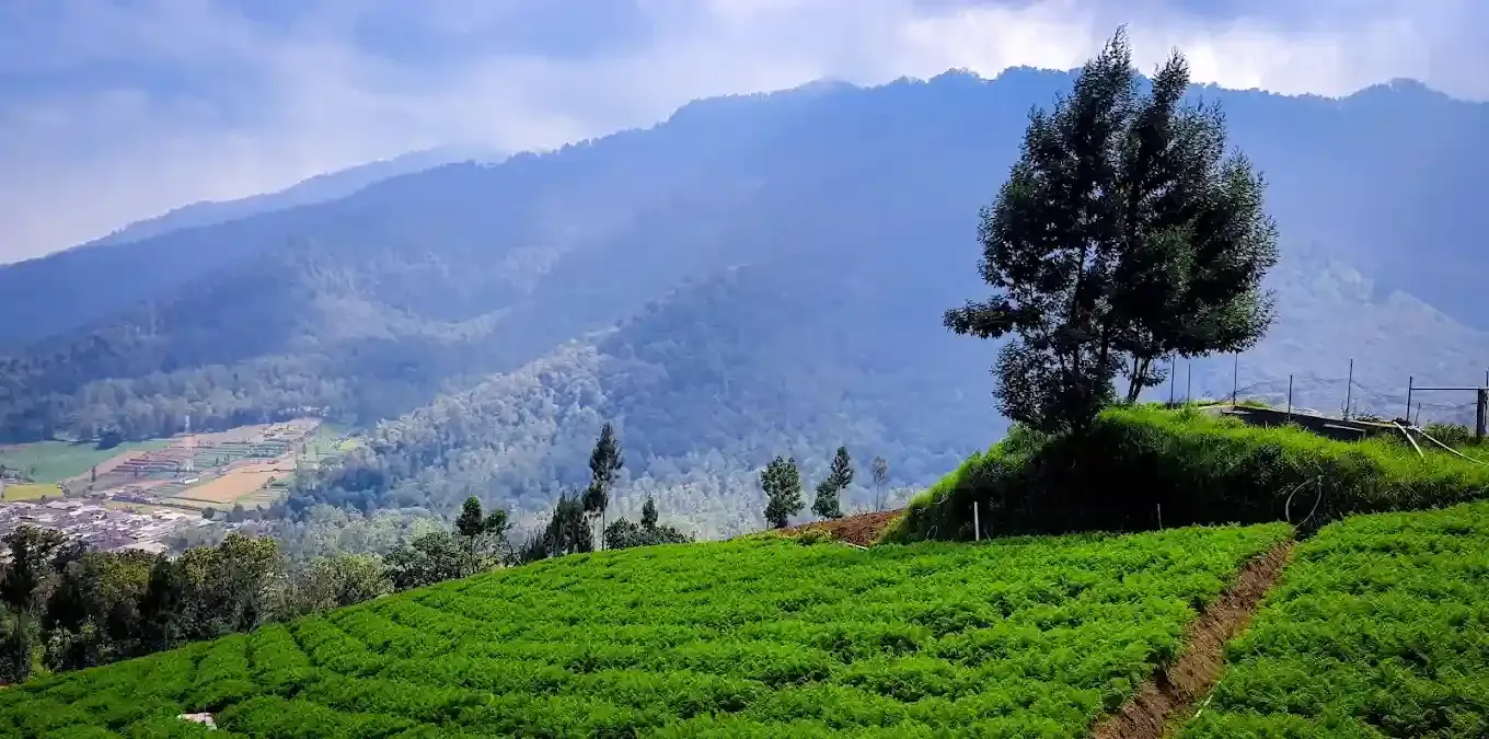 Wisata Alam Brakseng.webp