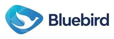 blue bird.jpeg