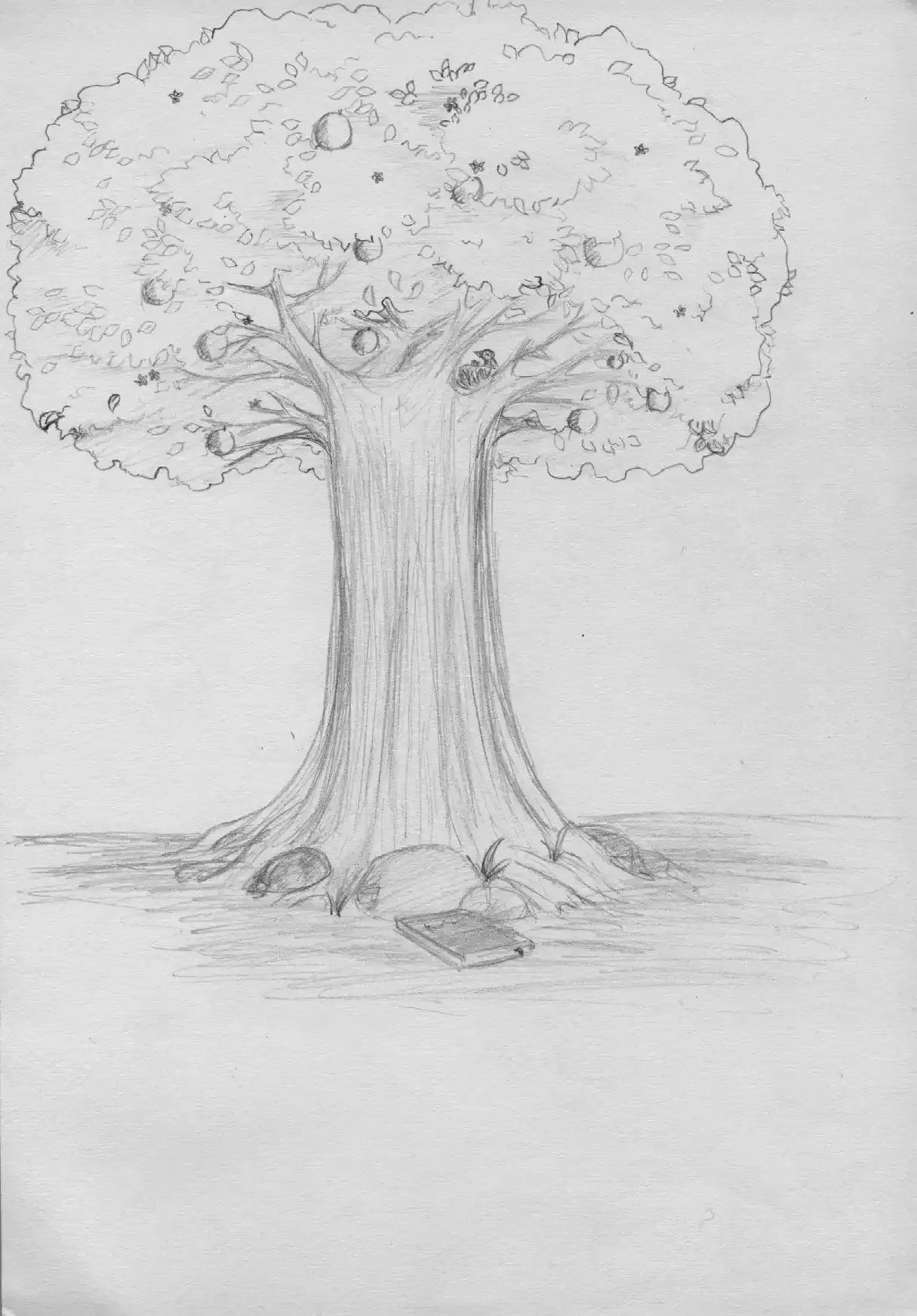 contoh tes gambar pohon.webp